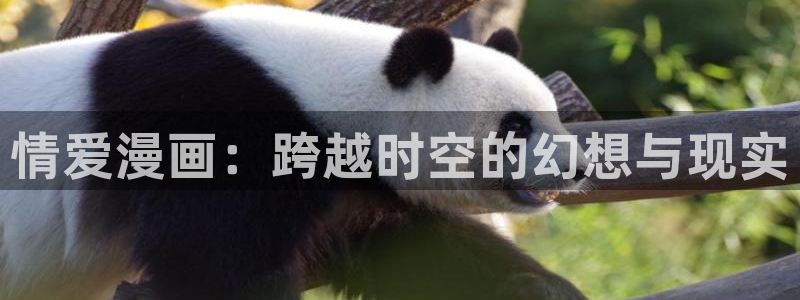 包子漫画在线入口