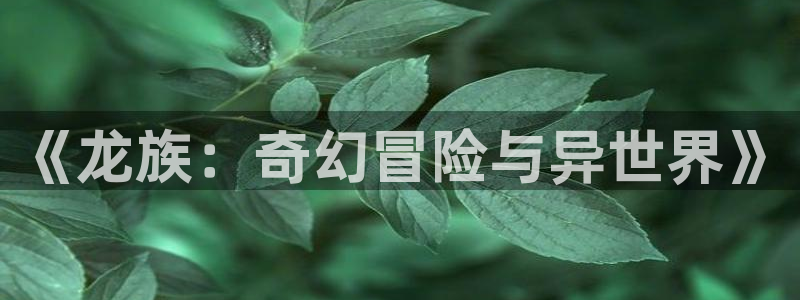 包子漫画网页版是什么