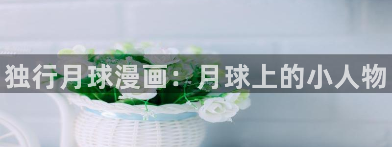 包子漫画官方下载