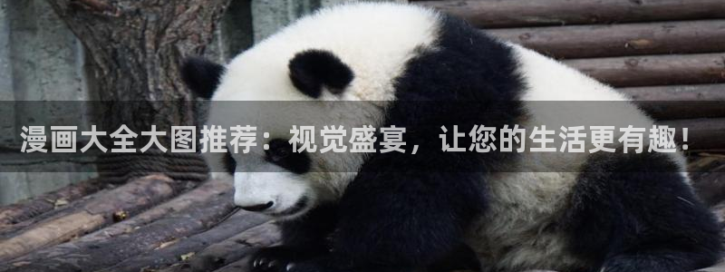 包子漫画软件下载