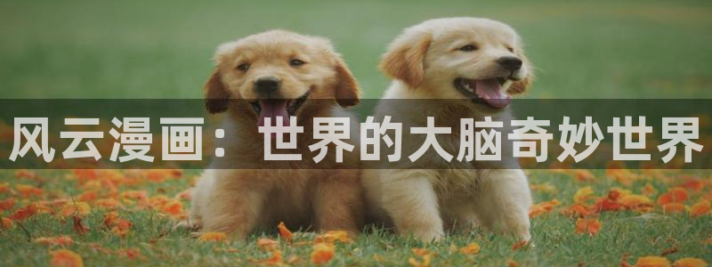 包子漫画免费漫画入