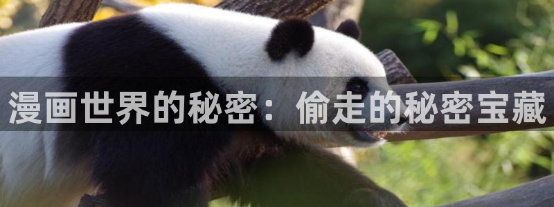 包子漫画app免费下载